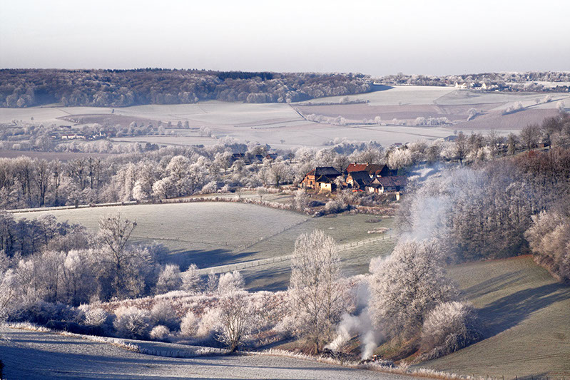 Hoeve ten Bosch Cottessen - Paradijsvogels Creativiteitscentrum